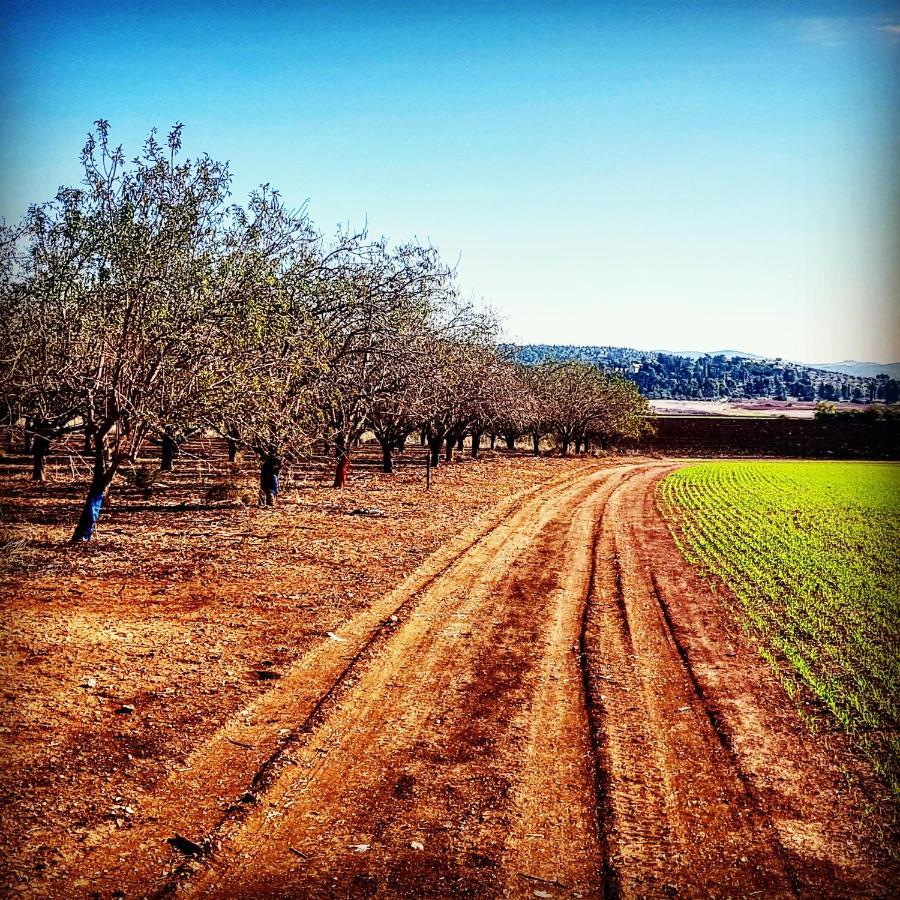 Bed and Breakfast Kibbutz Nachshon Экстерьер фото