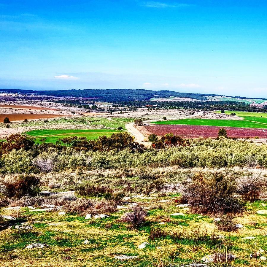 Bed and Breakfast Kibbutz Nachshon Экстерьер фото