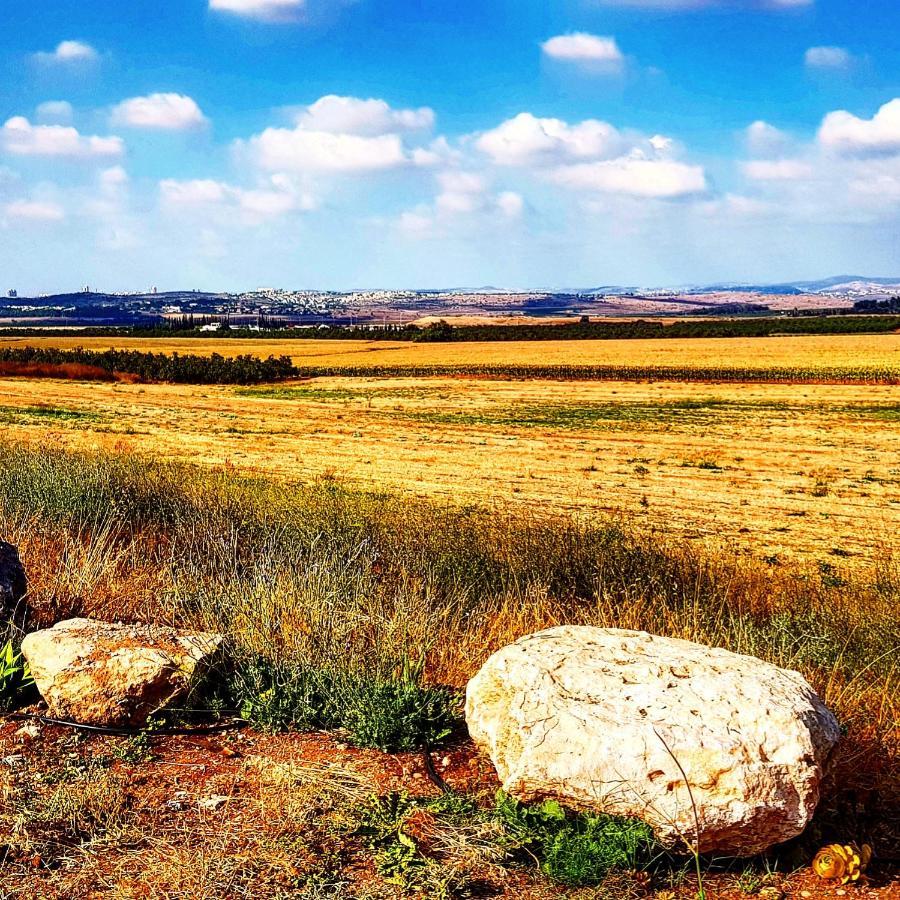 Bed and Breakfast Kibbutz Nachshon Экстерьер фото