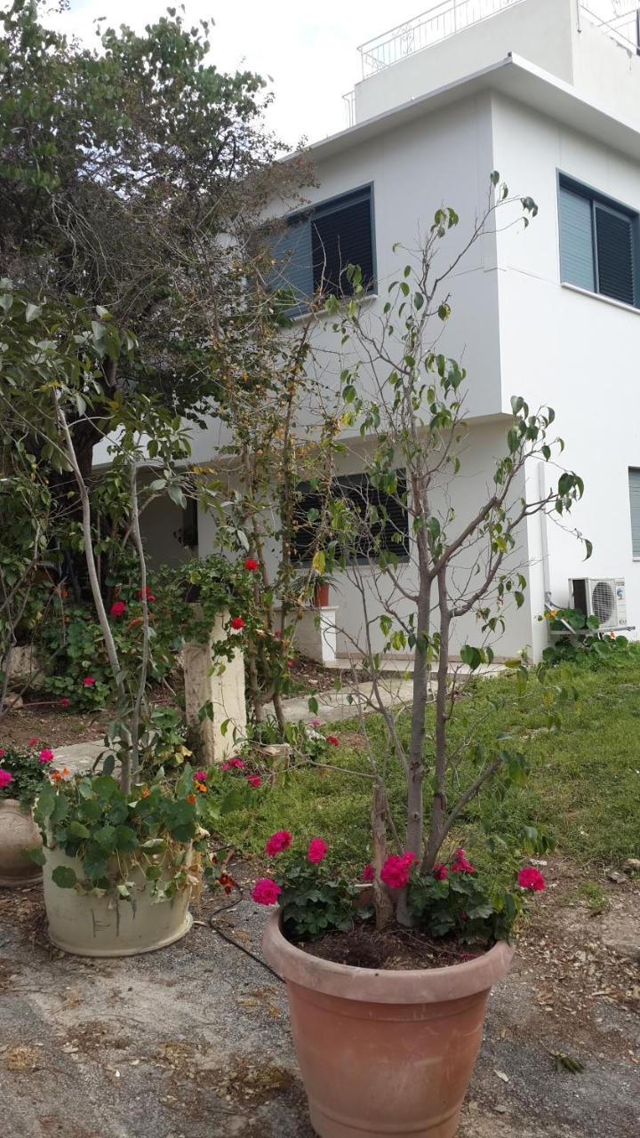 Bed and Breakfast Kibbutz Nachshon Экстерьер фото